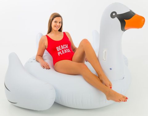 Big Swan Didak Zwembad - 190x180x115 cm