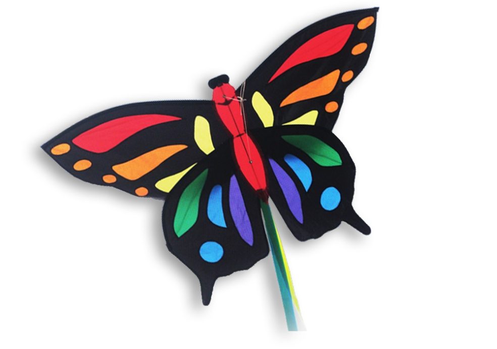 Cerf-volant Tropical Butterfly - Didak Beach 104x55 cm